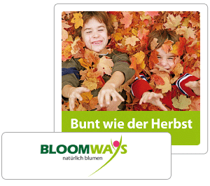 BLOOMWAYS