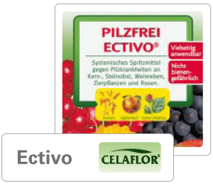 CELAFLOR-Ectivo