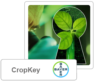 CropKey