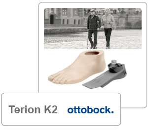 Terion K2